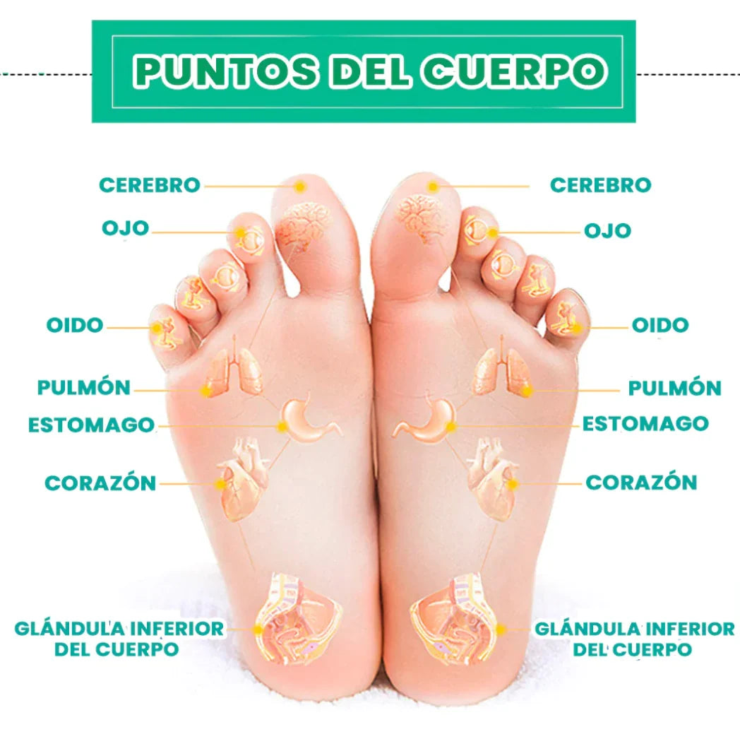 Parche Kinoki Detox