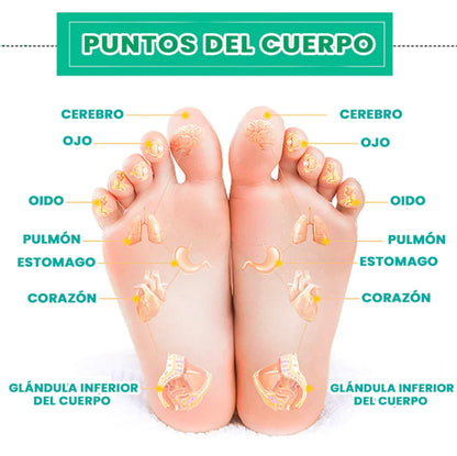 Parche Kinoki Detox